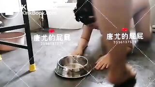 Nasty dogslave breakfast, ScatKings.com Scat Porn 8 ScatKings.com Scat Porn
