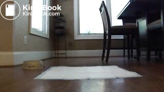 Alexa efro, ScatKings.com Scat Porn 2 ScatKings.com Scat Porn